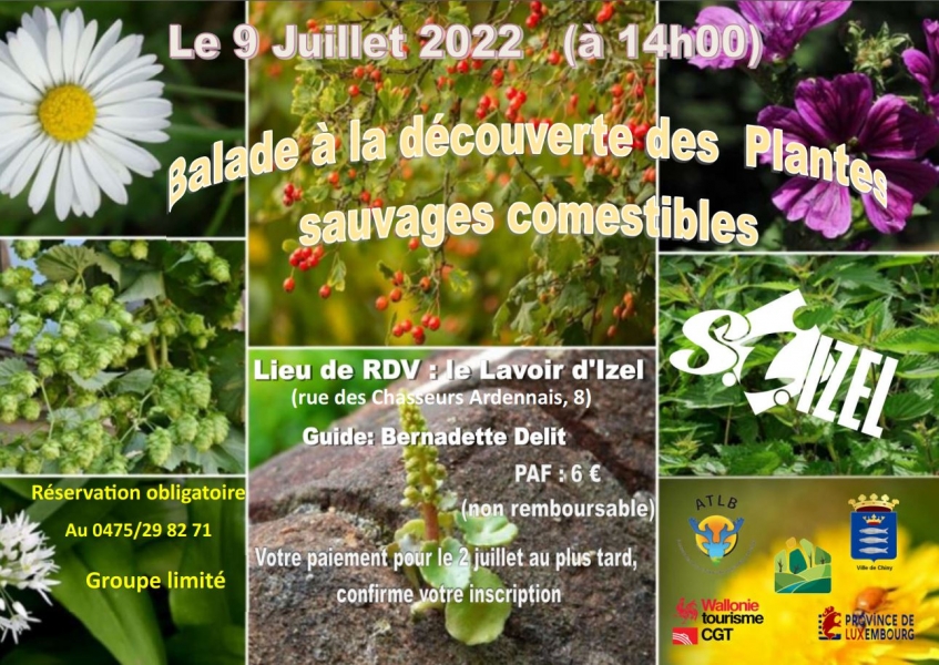 affiche-sii-2022-balade-plantes-sc